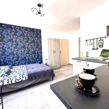 U Aniola 2 Apartment Wladyslawowo Room photo